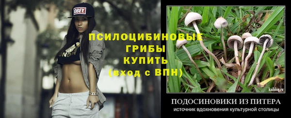 прущий лед Армянск