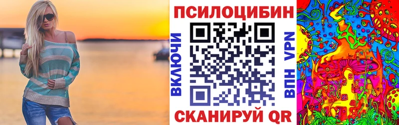 Галлюциногенные грибы Psilocybe  закладки  Покровск 